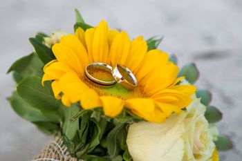 Andrea karikagy�r�vel kapcsolatos visszajelz�se