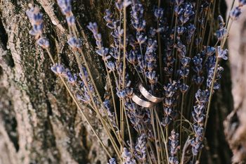 Judit �s D�nes karikagy�r�vel kapcsolatos visszajelz�se