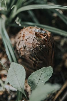 Niki �s Csabi karikagy�r�vel kapcsolatos visszajelz�se